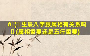 🦊 生辰八字跟属相有关系吗 ☘ (属相重要还是五行重要)